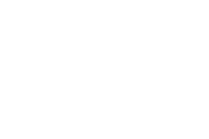 Puelo